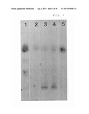 EXTRACTION METHOD FOR SIALIC ACID-CONTAINING COMPOUND FROM PLANT diagram and image