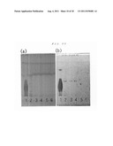 EXTRACTION METHOD FOR SIALIC ACID-CONTAINING COMPOUND FROM PLANT diagram and image