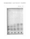 EXTRACTION METHOD FOR SIALIC ACID-CONTAINING COMPOUND FROM PLANT diagram and image