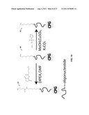 Stimulus-Responsive Apta Chelamers diagram and image