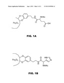 NANO-REAGENTS WITH COOPERATIVE CATALYSIS AND THEIR USES IN MULTIPLE PHASE     REACTIONS diagram and image