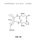 NANO-REAGENTS WITH COOPERATIVE CATALYSIS AND THEIR USES IN MULTIPLE PHASE     REACTIONS diagram and image