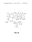 NANO-REAGENTS WITH COOPERATIVE CATALYSIS AND THEIR USES IN MULTIPLE PHASE     REACTIONS diagram and image