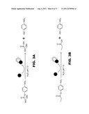 NANO-REAGENTS WITH COOPERATIVE CATALYSIS AND THEIR USES IN MULTIPLE PHASE     REACTIONS diagram and image