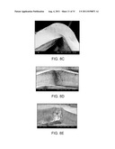 Crush Recoverable Polymer Scaffolds diagram and image