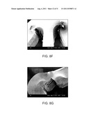 Crush Recoverable Polymer Scaffolds diagram and image