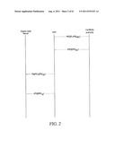 Token Based New Digital Cash Protocols With Combined Blind Digital     Signature and Pseudonym Authentication diagram and image