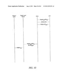 Token Based New Digital Cash Protocols With Combined Blind Digital     Signature and Pseudonym Authentication diagram and image