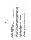 INFORMATION PROCESSING APPARATUS, INFORMATION PROCESSING METHOD, AND     PROGRAM diagram and image