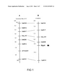 GENOTYPES, ALLELES AND MOLECULAR MARKERS ASSOCIATED WITH ASIAN SOYBEAN     RUST, AS WELL AS METHODS, PROCESSES AND USES THEREOF diagram and image