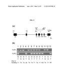 REGULATOR FOR FLOWERING TIME, TRANSGENIC PLANT TRANSFORMED WITH THE SAME,     AND METHOD FOR REGULATING FLOWERING TIME diagram and image