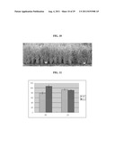 REGULATOR FOR FLOWERING TIME, TRANSGENIC PLANT TRANSFORMED WITH THE SAME,     AND METHOD FOR REGULATING FLOWERING TIME diagram and image