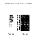 CRYSTAL PHASE STABILIZING STRUCTURE diagram and image