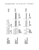 Wireless Local Area Network (WLAN) Using Universal Frequency Translation     Technology Including Multi-Phase Embodiments diagram and image