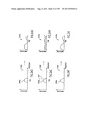 Wireless Local Area Network (WLAN) Using Universal Frequency Translation     Technology Including Multi-Phase Embodiments diagram and image