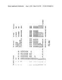 Wireless Local Area Network (WLAN) Using Universal Frequency Translation     Technology Including Multi-Phase Embodiments diagram and image