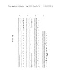 Internalizing Anti-CD74 Antibodies and Methods of Use diagram and image