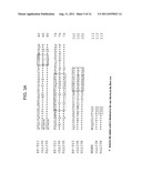 Internalizing Anti-CD74 Antibodies and Methods of Use diagram and image