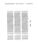 PRODUCTION OF PERACIDS USING AN ENZYME HAVING PERHYDROLYSIS ACTIVITY diagram and image