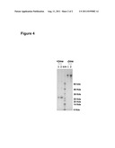 Multimeric Complexes of Antigens and an Adjuvant diagram and image