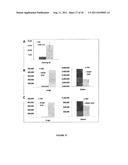 Tissue Targeted Antigenic Activation of the Immune Response to Treat     Cancers diagram and image