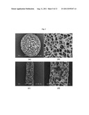 METHOD FOR MANUFACTURING A POROUS THREE-DIMENSIONAL SCAFFOLD USING POWDER     FROM ANIMAL TISSUE, AND POROUS THREE-DIMENSIONAL SCAFFOLD MANUFACTURED BY     SAME diagram and image