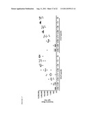 VIRUS-LIKE PARTICLES COMPRISING COMPOSITE CAPSID AMINO ACID SEQUENCES FOR     ENHANCED CROSS REACTIVITY diagram and image