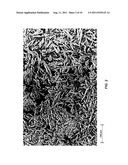 Nanoparticles For Drug Delivery To The Central Nervous System diagram and image