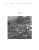 WATER HAVING ANTICANCER ACTIVITY AND METHOD FOR MAKING THE SAME diagram and image