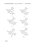 Anti-inflammatory cranberry flavonol extract preparations diagram and image