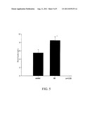 USE OF OVERGROUND PART OF HEDYCHIUM CORONARIUM KOENIG IN REDUCING BLOOD     GLUCOSE; EXTRACTS AND COMPOSITIONS OF OVERGROUND PART OF HEDYCHIUM     CORONARIUM KOENIG AND THEIR USES diagram and image