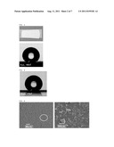 SUPERHYDROPHOBIC POWDERS, STRUCTURE WITH SUPERHYDROPHOBIC SURFACE, AND     PROCESSES FOR PRODUCING THESE diagram and image