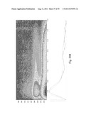 SYSTEMS AND METHODS FOR DIAGNOSING VIRAL INFECTIONS diagram and image