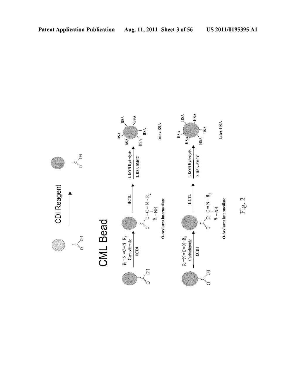 RINSE COMPOSITION FOR THE STABILIZATION OF DIAGNOSTIC BIOMARKERS - diagram, schematic, and image 04