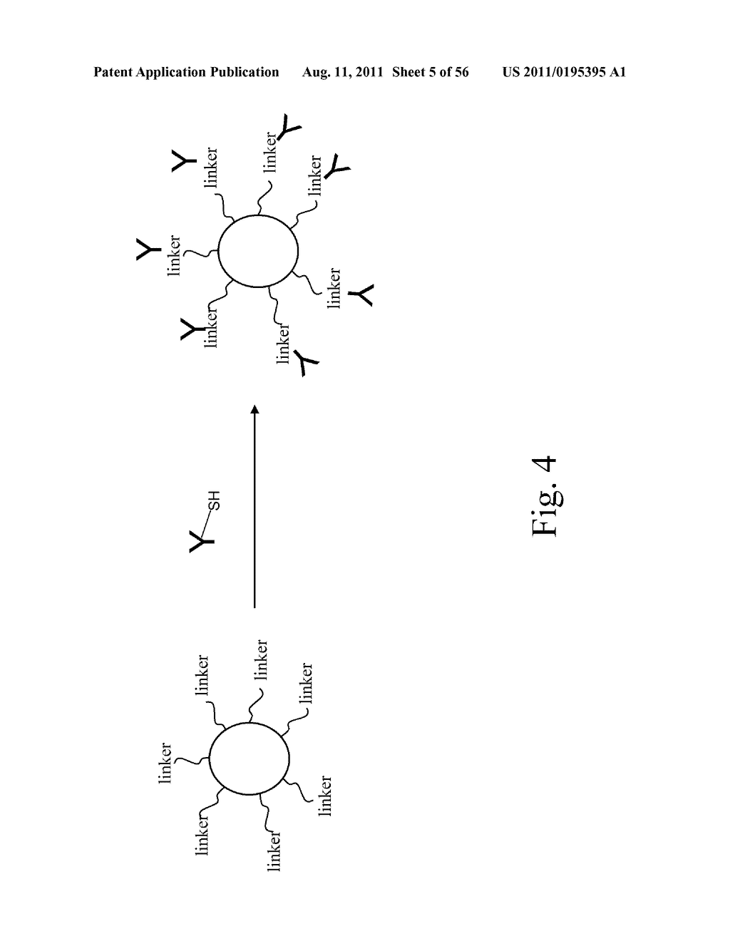 RINSE COMPOSITION FOR THE STABILIZATION OF DIAGNOSTIC BIOMARKERS - diagram, schematic, and image 06