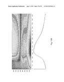 SYSTEMS AND METHODS FOR DIAGNOSING FUNGAL INFECTIONS diagram and image