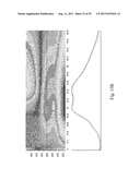 SYSTEMS AND METHODS FOR DIAGNOSING FUNGAL INFECTIONS diagram and image