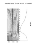 SYSTEMS AND METHODS FOR DIAGNOSING FUNGAL INFECTIONS diagram and image