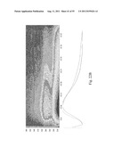 SYSTEMS AND METHODS FOR DIAGNOSING FUNGAL INFECTIONS diagram and image