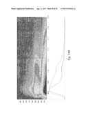 SYSTEMS AND METHODS FOR DIAGNOSING FUNGAL INFECTIONS diagram and image