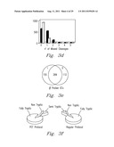 HIGH PRESSURE ENZYMATIC DIGESTION SYSTEM FOR PROTEIN CHARACTERIZATION diagram and image