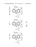 HIGH PRESSURE ENZYMATIC DIGESTION SYSTEM FOR PROTEIN CHARACTERIZATION diagram and image