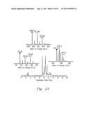 HIGH PRESSURE ENZYMATIC DIGESTION SYSTEM FOR PROTEIN CHARACTERIZATION diagram and image