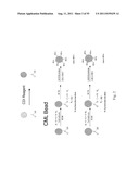 SYSTEMS AND METHODS FOR DETERMINING CARDIAC CONDITIONS diagram and image