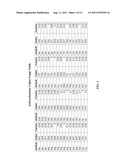 Recombinant Thraustochytrids that Grow on Sucrose, and Compositions,     Methods of Making, and Uses Thereof diagram and image