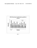 Recombinant Thraustochytrids that Grow on Sucrose, and Compositions,     Methods of Making, and Uses Thereof diagram and image