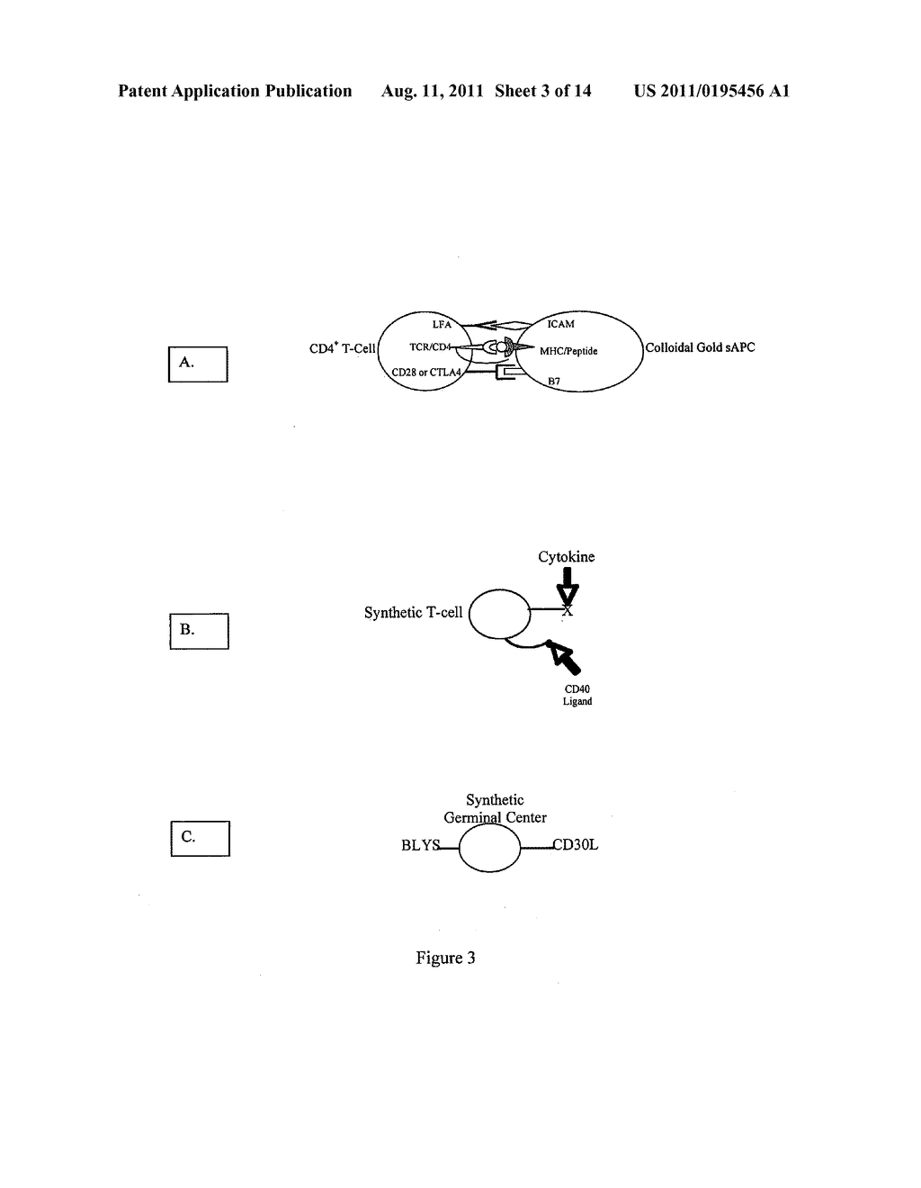 Methods and compositions for the production of monoclonal antibodies - diagram, schematic, and image 04