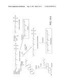 Production of Isoprenoids diagram and image