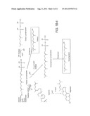 Production of Isoprenoids diagram and image