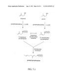 Production of Isoprenoids diagram and image